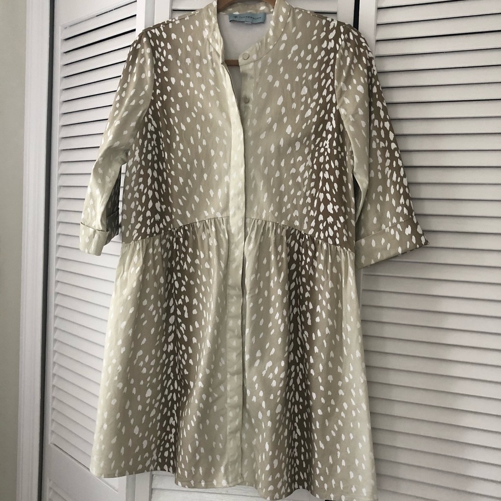 Tuckernuck shirt dress